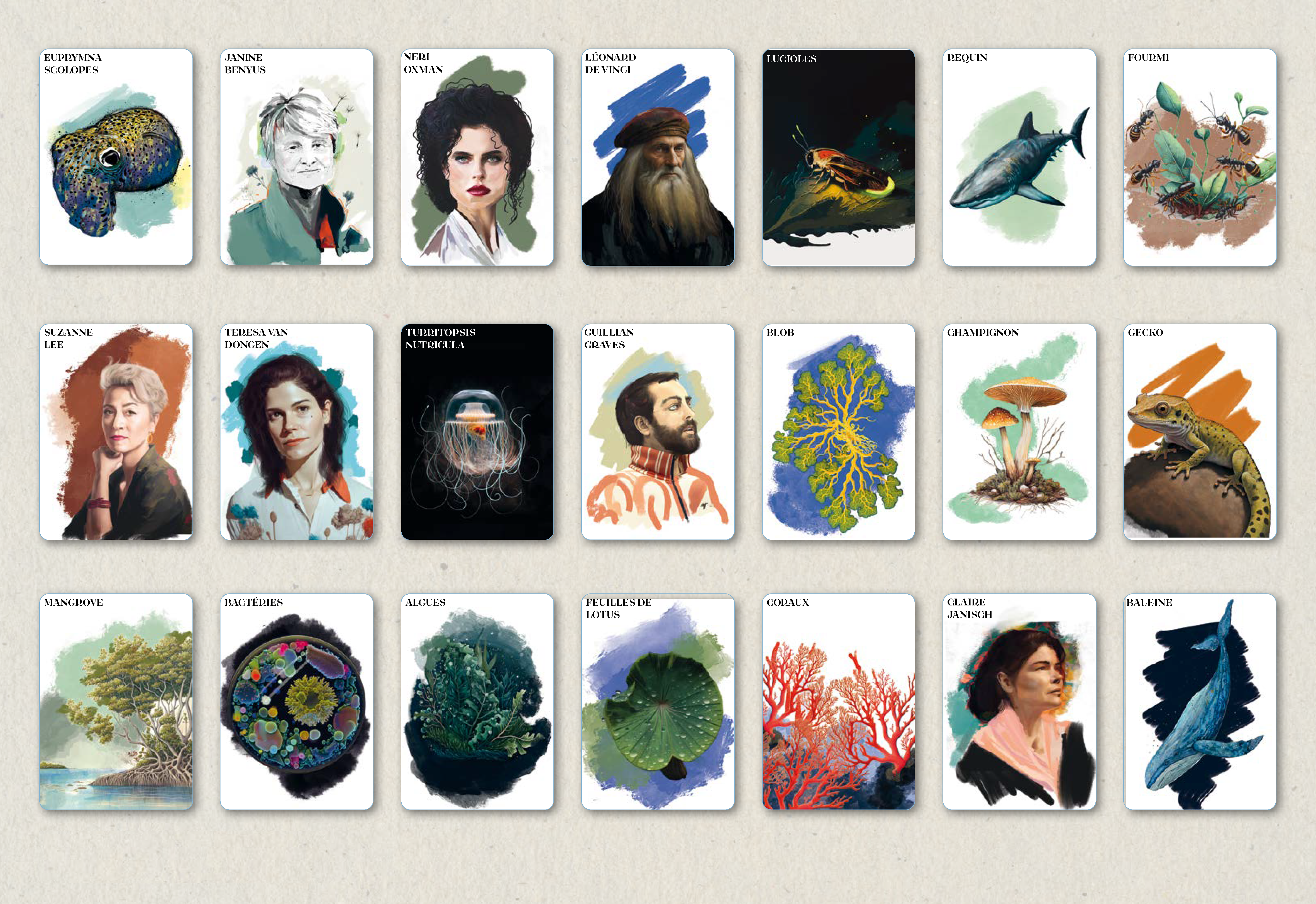 Projet_visuels3_Carte