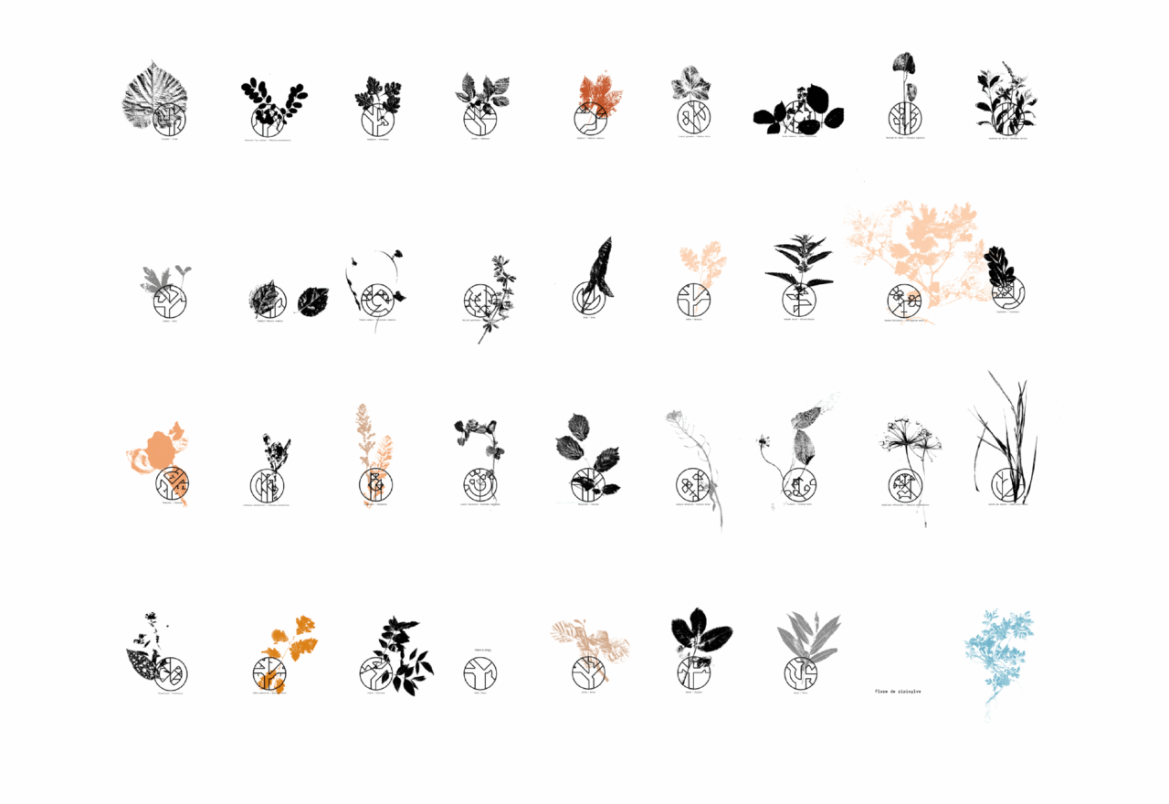 Projet_visuels3_Nature-20