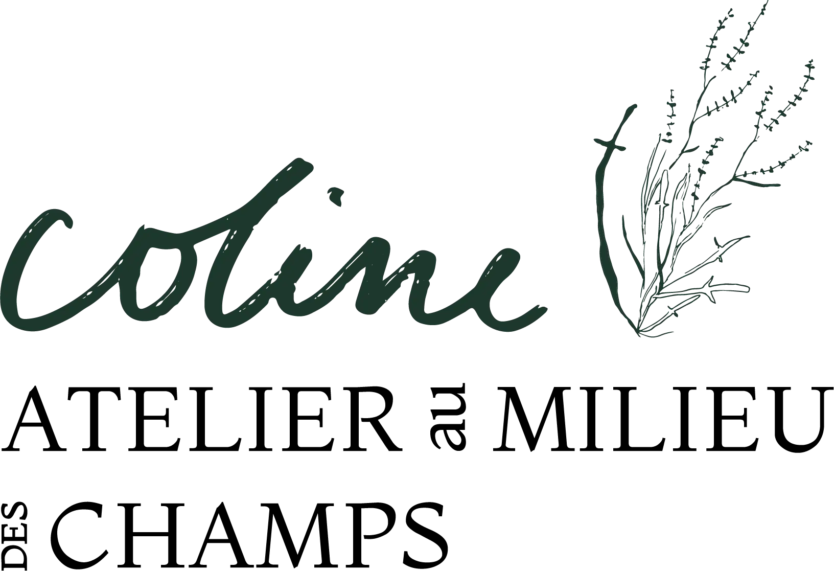 logo