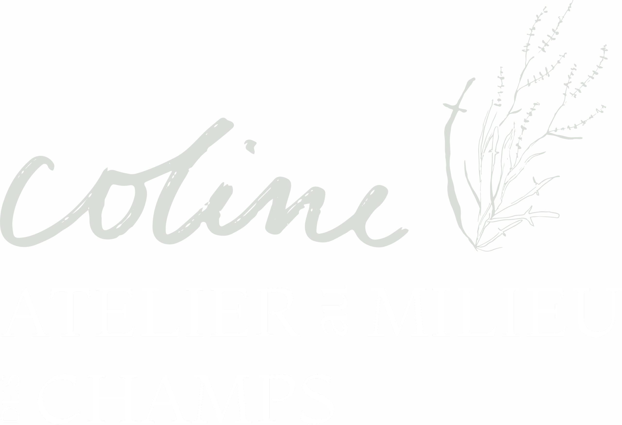 Logo_blanc