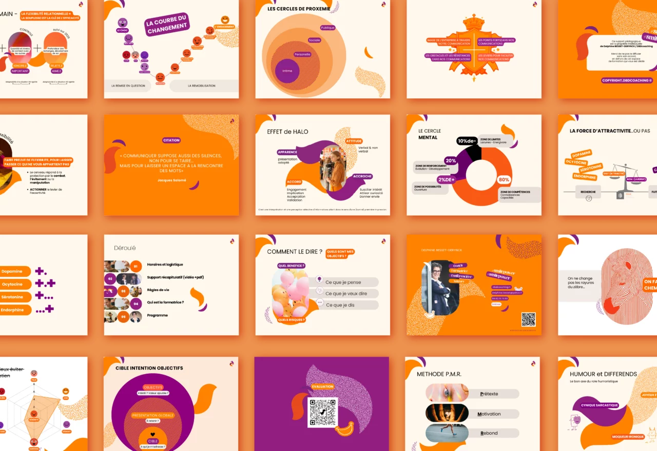 DBD_Plan de travail 1 copie 2