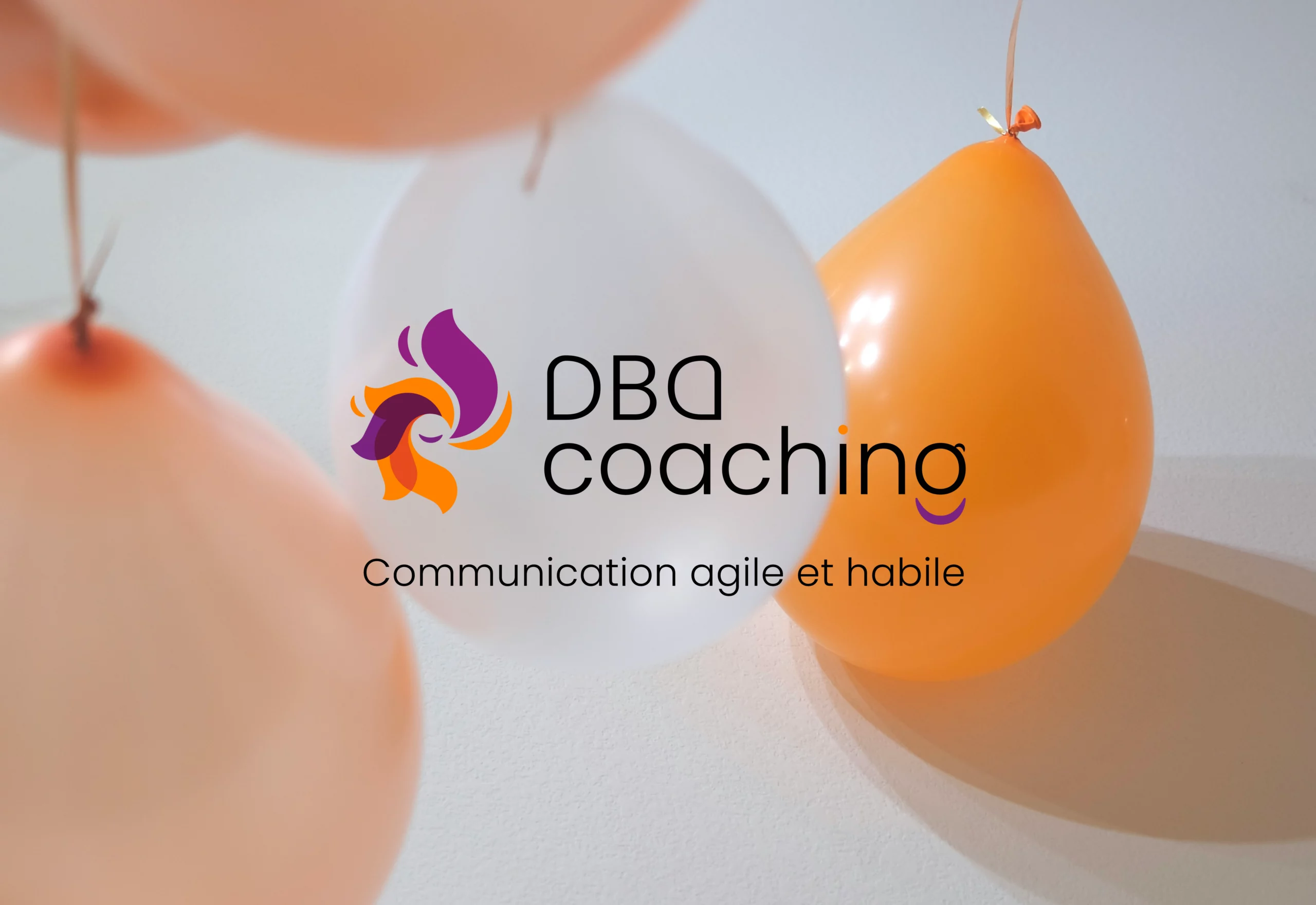 DBD_Plan de travail 1 copie 5